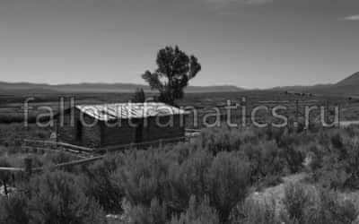 Раби Fallout Nevada